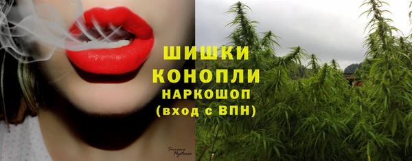 прущие крисы Горняк