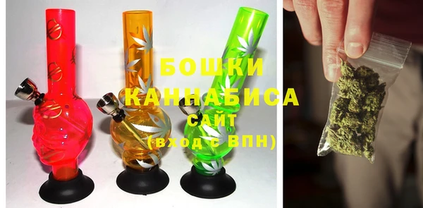 прущие крисы Горняк