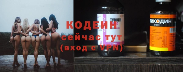 прущие крисы Горняк