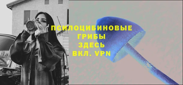 прущие крисы Горняк