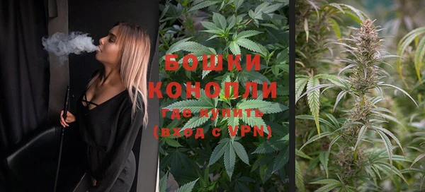 прущие крисы Горняк