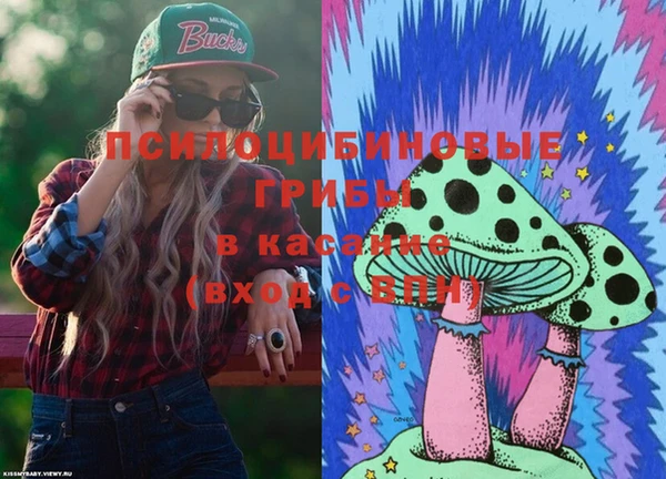 амф Горно-Алтайск