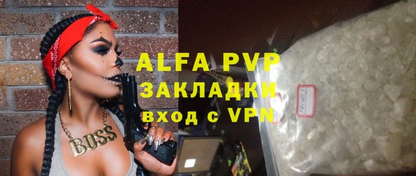 прущие крисы Горняк