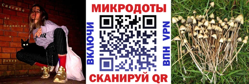 Галлюциногенные грибы MAGIC MUSHROOMS  Изобильный 